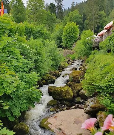 My 35 Nr 7 * Villingen-Schwenningen